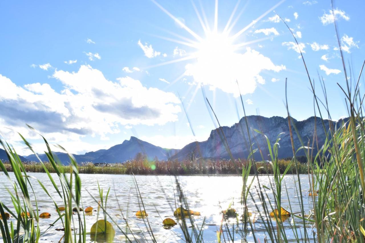 Hotel Drachenwand-Mondsee Dış mekan fotoğraf